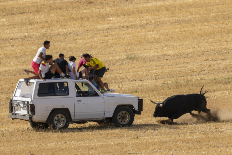 Fri. 8:17 a.m.: Wave of bull runner deaths turns focus on Spain’s ...